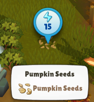 Pumpkin Seeds